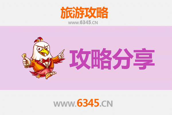 新乡原阳旅游攻略：跟团与自由行深度对比